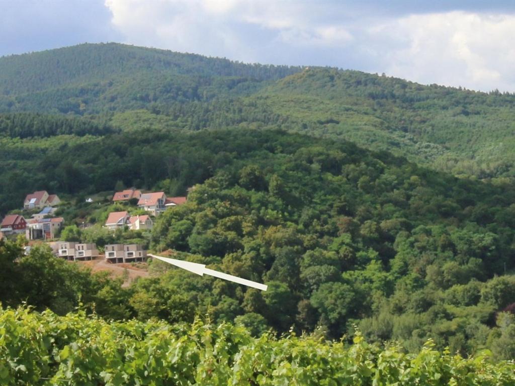 巴尔Alsace Panorama别墅 外观 照片
