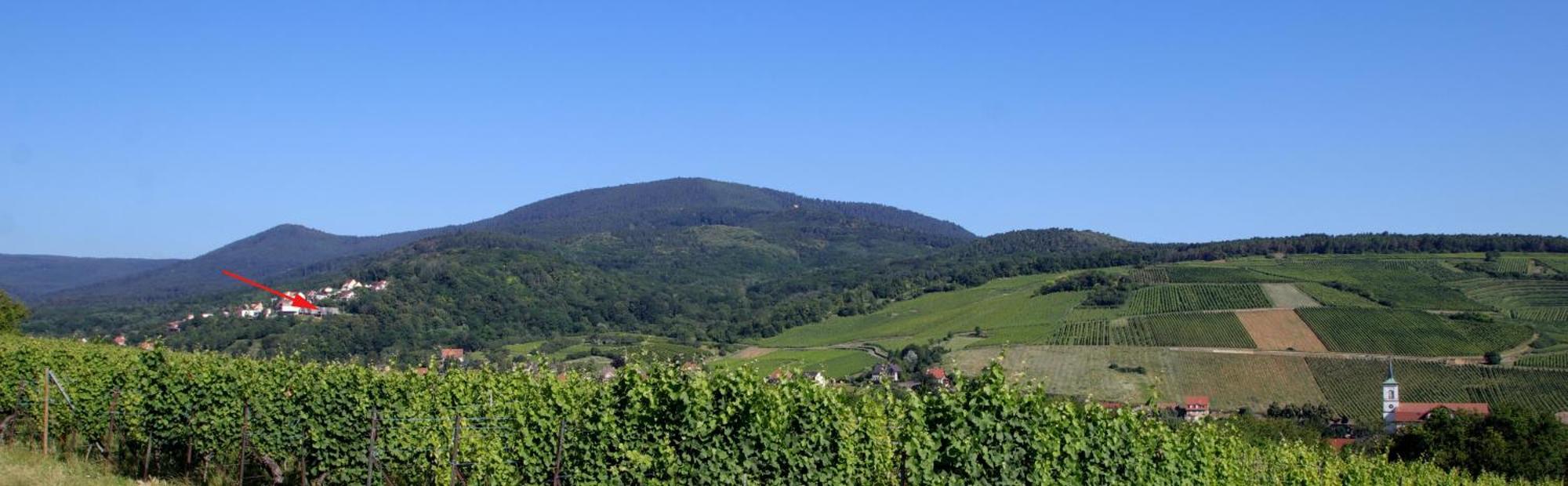 巴尔Alsace Panorama别墅 外观 照片